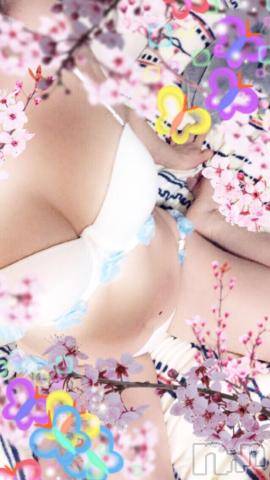 新潟デリヘル五十路マダム新潟店(カサブランカグループ)(イソジマダムニイガタテン)椎名すみれ(54)の2019年3月19日写メブログ「愛しの…」