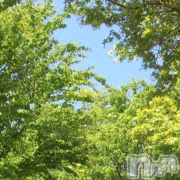 新潟デリヘル五十路マダム新潟店(カサブランカグループ)(イソジマダムニイガタテン)椎名すみれ(54)の2019年5月10日写メブログ「元気が出る新緑！」