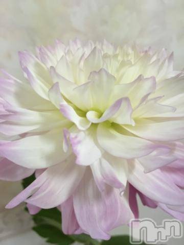 新潟デリヘル五十路マダム新潟店(カサブランカグループ)(イソジマダムニイガタテン)椎名すみれ(54)の2019年6月3日写メブログ「帰宅」