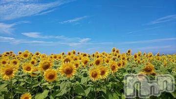 新潟デリヘル五十路マダム新潟店(カサブランカグループ)(イソジマダムニイガタテン)椎名すみれ(54)の2019年8月13日写メブログ「夏ぅ～」