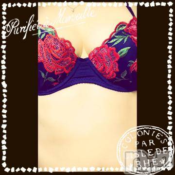 新潟デリヘル五十路マダム新潟店(カサブランカグループ)(イソジマダムニイガタテン)椎名すみれ(54)の2019年8月16日写メブログ「一度でいいから見てみたい。」