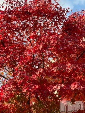 新潟デリヘル五十路マダム新潟店(カサブランカグループ)(イソジマダムニイガタテン)椎名すみれ(54)の2020年11月16日写メブログ「こんにちは～」