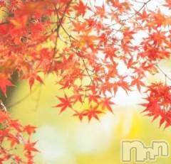 新潟デリヘル五十路マダム新潟店(カサブランカグループ)(イソジマダムニイガタテン) 椎名すみれ(54)の10月16日写メブログ「お疲れ様です」