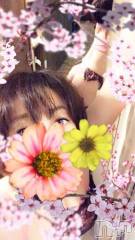 新潟デリヘル五十路マダム新潟店(カサブランカグループ)(イソジマダムニイガタテン) 椎名すみれ(54)の2月4日写メブログ「お仕事で闘っている皆様！」