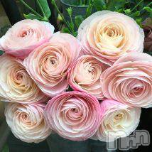 新潟デリヘル五十路マダム新潟店(カサブランカグループ)(イソジマダムニイガタテン) 椎名すみれ(54)の6月11日写メブログ「愛について」