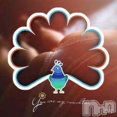 新潟デリヘル五十路マダム新潟店(カサブランカグループ)(イソジマダムニイガタテン) 椎名すみれ(54)の10月8日写メブログ「おやすみなさい」