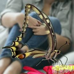 新潟デリヘル五十路マダム新潟店(カサブランカグループ)(イソジマダムニイガタテン) 椎名すみれ(54)の3月9日写メブログ「休息～」