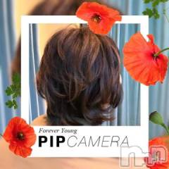 新潟デリヘル五十路マダム新潟店(カサブランカグループ)(イソジマダムニイガタテン) 椎名すみれ(54)の11月22日写メブログ「[お題]from:よっちゃんさん」