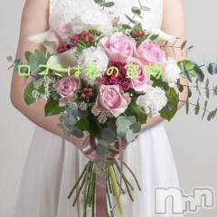 新潟デリヘル五十路マダム新潟店(カサブランカグループ)(イソジマダムニイガタテン) 椎名すみれ(54)の3月27日写メブログ「口コミは私の宝物」