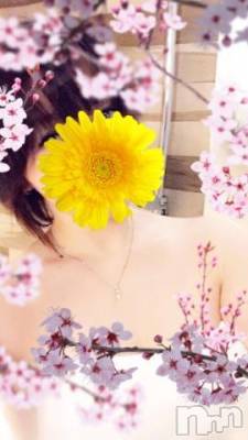 新潟デリヘル 五十路マダム新潟店(カサブランカグループ)(イソジマダムニイガタテン) 椎名すみれ(54)の1月26日写メブログ「ちょこっと」