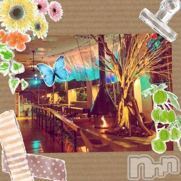 新潟デリヘル 五十路マダム新潟店(カサブランカグループ)(イソジマダムニイガタテン) 椎名すみれ(54)の2月16日写メブログ「[お題]from:九州なめ好きさん」