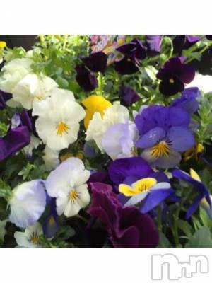 新潟デリヘル 五十路マダム新潟店(カサブランカグループ)(イソジマダムニイガタテン) 椎名すみれ(54)の3月26日写メブログ「こんにちは」