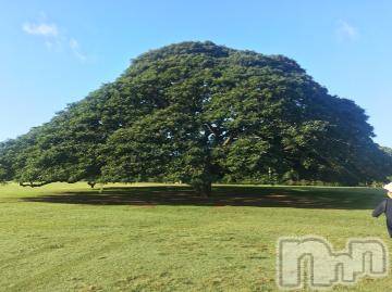 新潟デリヘル 五十路マダム新潟店(カサブランカグループ)(イソジマダムニイガタテン) 椎名すみれ(54)の5月30日写メブログ「一日千秋」