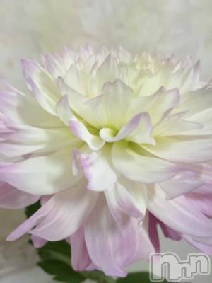 新潟デリヘル 五十路マダム新潟店(カサブランカグループ)(イソジマダムニイガタテン) 椎名すみれ(54)の6月3日写メブログ「帰宅」