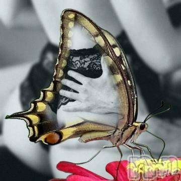 新潟デリヘル 五十路マダム新潟店(カサブランカグループ)(イソジマダムニイガタテン) 椎名すみれ(54)の10月10日写メブログ「男のB面…」