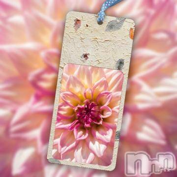 新潟デリヘル 五十路マダム新潟店(カサブランカグループ)(イソジマダムニイガタテン) 椎名すみれ(54)の11月1日写メブログ「感謝の気持ちでも一杯です?」