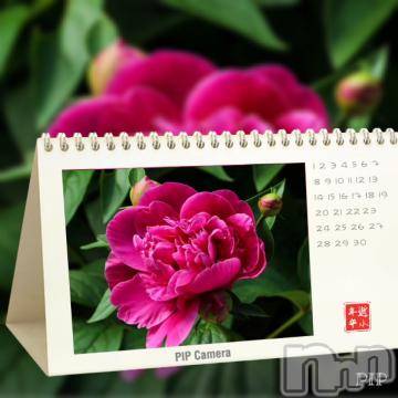 新潟デリヘル 五十路マダム新潟店(カサブランカグループ)(イソジマダムニイガタテン) 椎名すみれ(54)の11月6日写メブログ「感謝の気持ちで一杯です?」