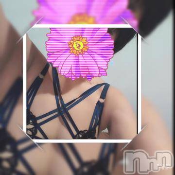 新潟デリヘル 五十路マダム新潟店(カサブランカグループ)(イソジマダムニイガタテン) 椎名すみれ(54)の12月15日写メブログ「DECEMBER」