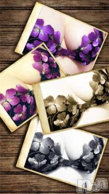 新潟デリヘル 五十路マダム新潟店(カサブランカグループ)(イソジマダムニイガタテン) 椎名すみれ(54)の3月6日写メブログ「おやすみなさい」