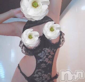 新潟デリヘル 五十路マダム新潟店(カサブランカグループ)(イソジマダムニイガタテン) 椎名すみれ(54)の12月16日写メブログ「感謝の気持ちでいっぱいです」