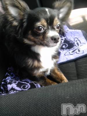 長野デリヘル スウィートフェアリー 激得-人妻-えり(34)の1月15日写メブログ「お疲れ~♪」