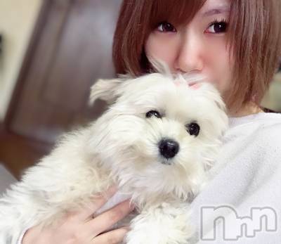 Įʥå륺Сsnack NODOKA(ʥåΥɥ) ޥޤ127̥֥🐶