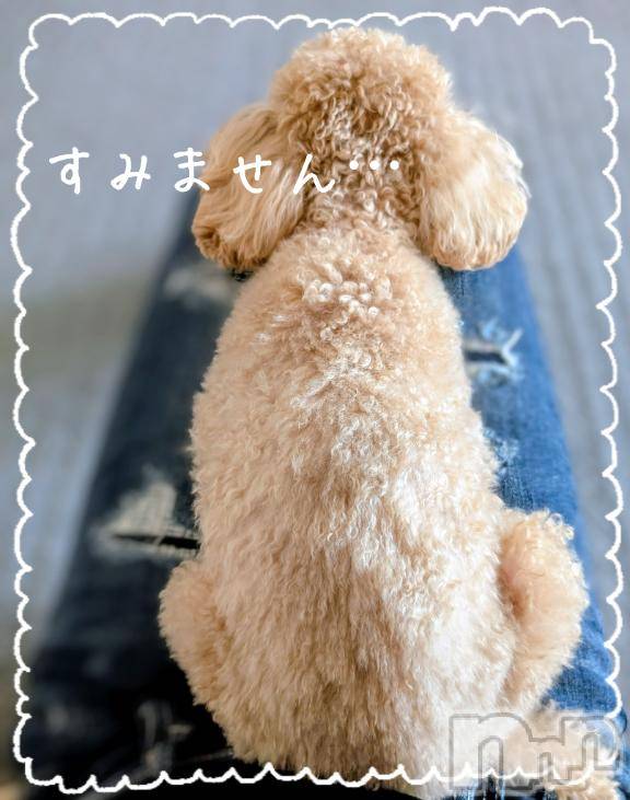 新潟デリヘル人妻不倫処　桃屋　新潟店(ヒトヅマフリンドコロモモヤ) みづは奉仕が信条(41)の11月17日写メブログ「すみません⋯」