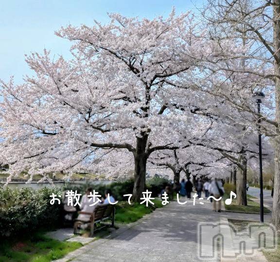 新潟デリヘル人妻不倫処　桃屋　新潟店(ヒトヅマフリンドコロモモヤ) みづは奉仕が信条(41)の4月7日写メブログ「昨日は⋯♪」