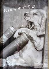 新潟デリヘル人妻不倫処　桃屋　新潟店(ヒトヅマフリンドコロモモヤ) みづは奉仕が信条(41)の8月1日写メブログ「お知らせです♡」