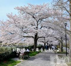 新潟デリヘル人妻不倫処　桃屋　新潟店(ヒトヅマフリンドコロモモヤ) みづは奉仕が信条(41)の4月7日写メブログ「昨日は⋯♪」