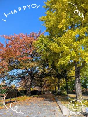 新潟デリヘル 人妻不倫処　桃屋　新潟店(ヒトヅマフリンドコロモモヤ) みづは奉仕が信条(41)の11月10日写メブログ「こんにちは～♡」