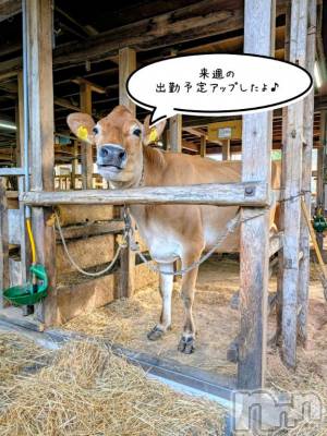 新潟デリヘル 人妻不倫処　桃屋　新潟店(ヒトヅマフリンドコロモモヤ) みづは奉仕が信条(41)の10月15日写メブログ「来週の⋯♡」