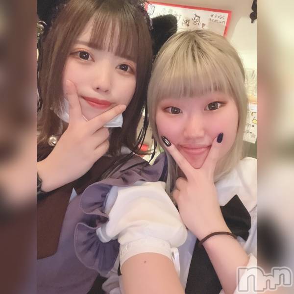ʥå륺С饪աɥС Mimi(饪աɥС ߥ)  2022ǯ323ֺ̥֥ΥС❤️