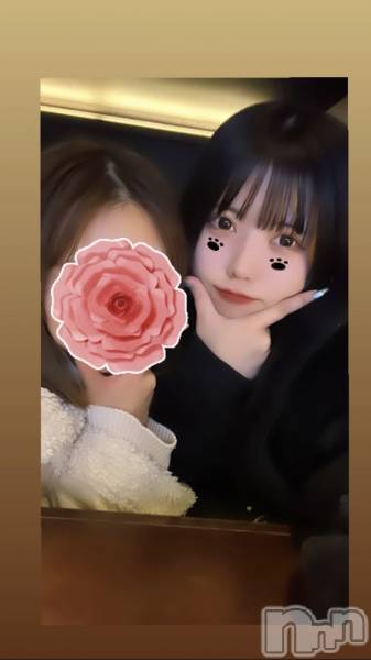 ʥå륺С饪աɥС Mimi(饪աɥС ߥ)  2023ǯ46̥֥19OPEN✨️λ4ͽжФƤޤ🫶🏻💕︎︎