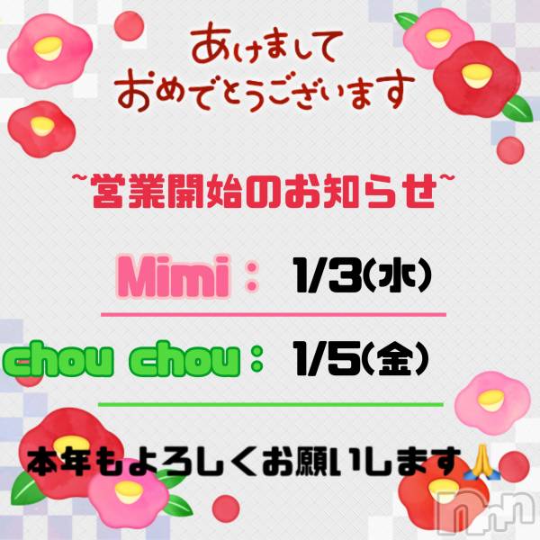 ʥå륺С饪աɥС Mimi(饪աɥС ߥ)  2024ǯ12̥֥֤ޤƤǤȤޤ✨️