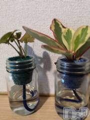 上越デリヘルらぶ妻　～新潟の人妻が集う店～(ラブツマ) 相川あみ★癒し女神(35)の4月17日写メブログ「毎日狙われてる(›´A`‹ )」