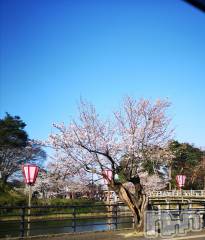 上越デリヘルらぶ妻　～新潟の人妻が集う店～(ラブツマ) 相川あみ★癒し女神(35)の3月29日写メブログ「見つけた～」