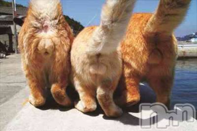 上越デリヘル らぶ妻　～新潟の人妻が集う店～(ラブツマ) 相川あみ★癒し女神(35)の8月23日写メブログ「ナイトナビさん、消さないでね｡ﾟ(ﾟ^o^ﾟ)ﾟ｡」