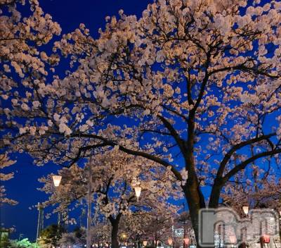 上越デリヘル らぶ妻　～新潟の人妻が集う店～(ラブツマ) 相川あみ★癒し女神(35)の4月2日写メブログ「儚いから良い」