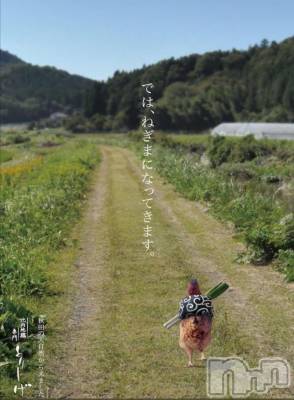 上越デリヘル らぶ妻　～新潟の人妻が集う店～(ラブツマ) 相川あみ★癒し女神(35)の4月19日写メブログ「なんとも言えない気持ち」