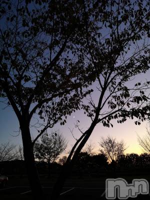 上越デリヘル らぶ妻　～新潟の人妻が集う店～(ラブツマ) 相川あみ★癒し女神(35)の10月12日写メブログ「明日からです。」