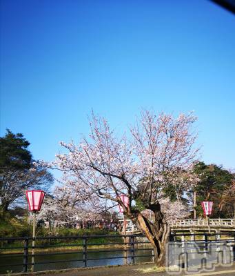上越デリヘル らぶ妻　～新潟の人妻が集う店～(ラブツマ) 相川あみ★癒し女神(35)の3月29日写メブログ「見つけた～」