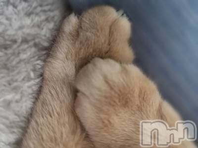 上越デリヘル らぶ妻　～新潟の人妻が集う店～(ラブツマ) 相川あみ★癒し女神(35)の1月2日写メブログ「怖かった、、」