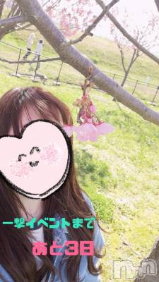 上越デリヘル らぶ妻　～新潟の人妻が集う店～(ラブツマ) 相川あみ★癒し女神(35)の4月12日写メブログ「春爛漫」