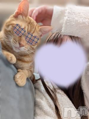 上越デリヘル らぶ妻　～新潟の人妻が集う店～(ラブツマ) 相川あみ★癒し女神(35)の10月26日写メブログ「ばっちり👌」