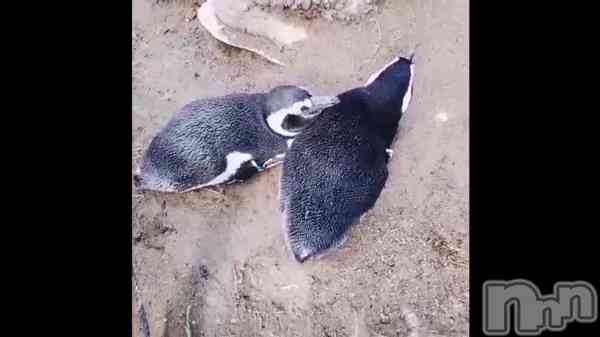ظΩĤȴ