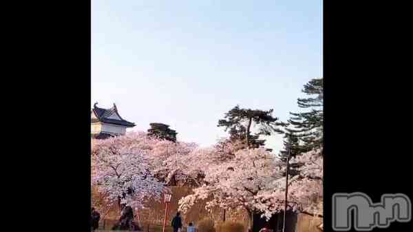 #ޡ졼