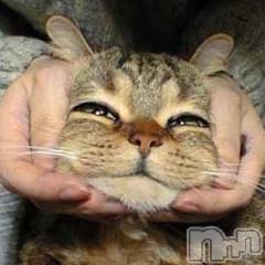 上越デリヘル上越最安値！奥様Deli急便(ジョウエツサイヤスネ！オクサマデリキュウビン) 美白美乳キレイ系 ゆうみ(35)の4月25日写メブログ「拾い画ですが」