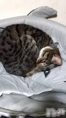 上越デリヘル上越最安値！奥様Deli急便(ジョウエツサイヤスネ！オクサマデリキュウビン) 美白美乳キレイ系 ゆうみ(35)の4月30日写メブログ「そういえば～」