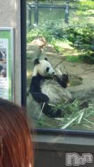 上越デリヘル上越最安値！奥様Deli急便(ジョウエツサイヤスネ！オクサマデリキュウビン) 短期不定期レア出勤！ ゆうみ(35)の5月25日写メブログ「わたしよく」